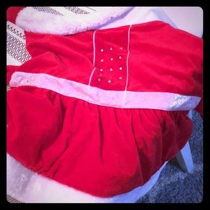 This is a dog Christmas dress (mrs.claus)